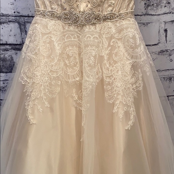 Christina Wu- Bridal Gown - Picture 3 of 12